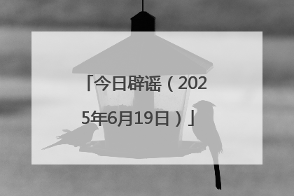 今日辟谣（2025年6月19日）