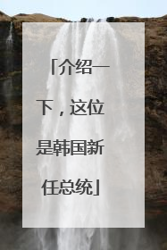 介绍一下，这位是韩国新任总统