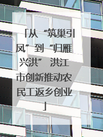 从“筑巢引凤”到“归雁兴洪” 洪江市创新推动农民工返乡创业