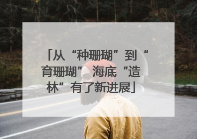 从“种珊瑚”到“育珊瑚” 海底“造林”有了新进展