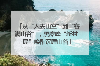 从“人去山空”到“客满山谷”，黑麋峰“新村民”唤醒沉睡山谷