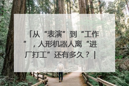从“表演”到“工作”，人形机器人离“进厂打工”还有多久？｜机器人商业新纪元