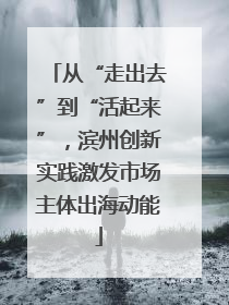 从“走出去”到“活起来”，滨州创新实践激发市场主体出海动能