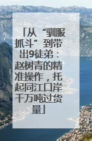 从“驯服抓斗”到带出9徒弟：赵树青的精准操作，托起同江口岸千万吨过货量
