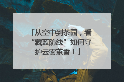 从空中到茶园，看“藏蓝防线”如何守护云雾茶香！