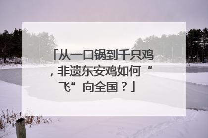 从一口锅到千只鸡，非遗东安鸡如何“飞”向全国？