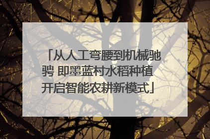 从人工弯腰到机械驰骋 即墨蓝村水稻种植开启智能农耕新模式