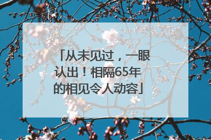 从未见过，一眼认出！相隔65年的相见令人动容