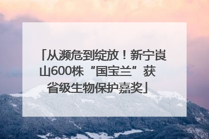 从濒危到绽放！新宁崀山600株“国宝兰”获省级生物保护嘉奖