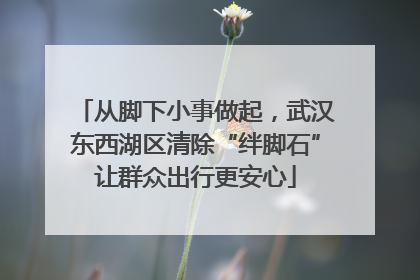 从脚下小事做起，武汉东西湖区清除“绊脚石”让群众出行更安心