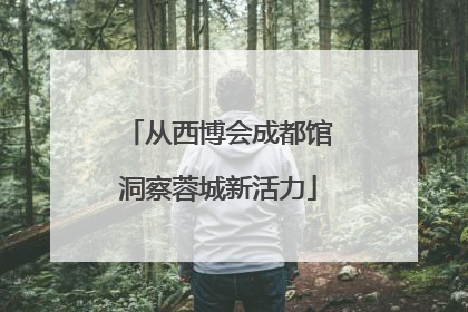 从西博会成都馆洞察蓉城新活力