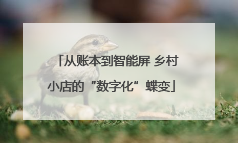 从账本到智能屏 乡村小店的“数字化”蝶变
