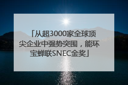 从超3000家全球顶尖企业中强势突围，能环宝蝉联SNEC金奖