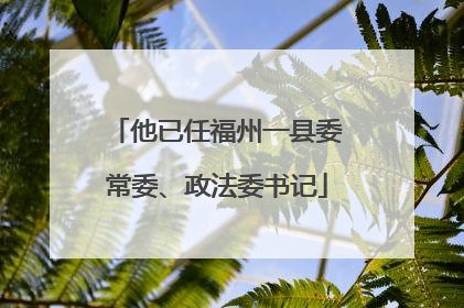 他已任福州一县委常委、政法委书记