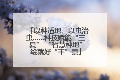 以种适地、以虫治虫……科技赋能“三夏” “智慧种地”绘就好“丰”景