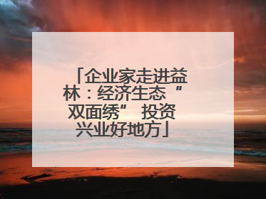 企业家走进益林：经济生态“双面绣” 投资兴业好地方