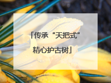 传承“天把式” 精心护古树