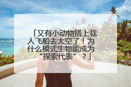 又有小动物搭上载人飞船去太空了！为什么模式生物能成为“探索代表”？