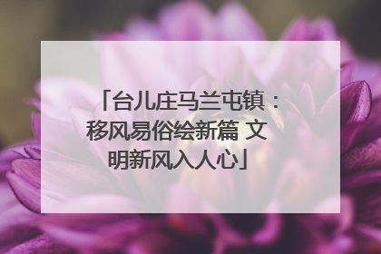 台儿庄马兰屯镇：移风易俗绘新篇 文明新风入人心