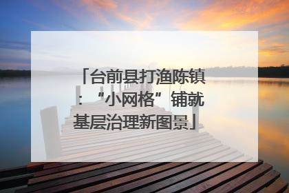 台前县打渔陈镇：“小网格”铺就基层治理新图景