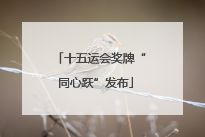 十五运会奖牌“同心跃”发布