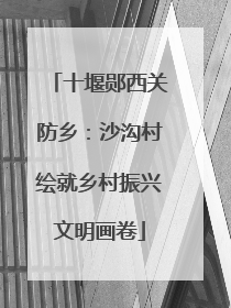 十堰郧西关防乡：沙沟村绘就乡村振兴文明画卷