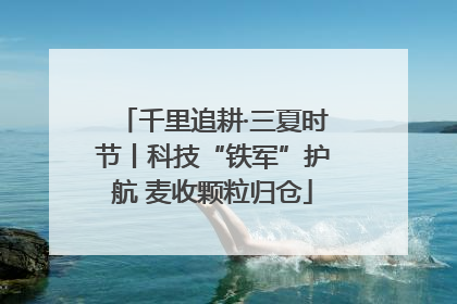 千里追耕·三夏时节丨科技“铁军”护航 麦收颗粒归仓
