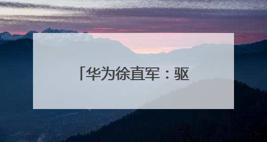 华为徐直军：驱动增长的路径