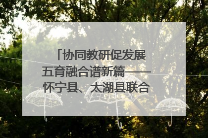 协同教研促发展 五育融合谱新篇——怀宁县、太湖县联合教研活动在月山镇中心学校成功举办