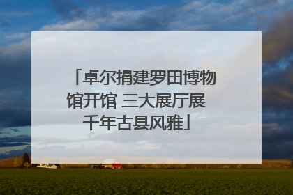 卓尔捐建罗田博物馆开馆 三大展厅展千年古县风雅