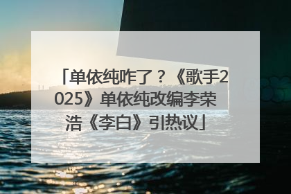 单依纯咋了？《歌手2025》单依纯改编李荣浩《李白》引热议