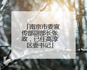 南京市委宣传部副部长张政，已任高淳区委书记