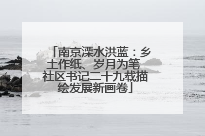 南京溧水洪蓝：乡土作纸、岁月为笔 社区书记二十九载描绘发展新画卷