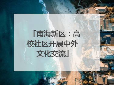南海新区：高校社区开展中外文化交流