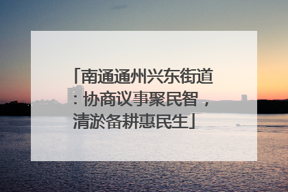 南通通州兴东街道：协商议事聚民智，清淤备耕惠民生