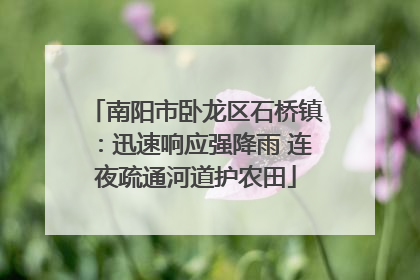 南阳市卧龙区石桥镇：迅速响应强降雨 连夜疏通河道护农田