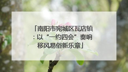 南阳市宛城区瓦店镇：以“一约四会”奏响移风易俗新乐章