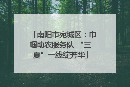 南阳市宛城区：巾帼助农服务队 “三夏”一线绽芳华