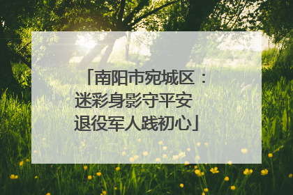 南阳市宛城区：迷彩身影守平安 退役军人践初心