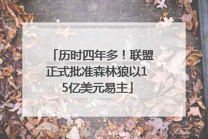 历时四年多！联盟正式批准森林狼以15亿美元易主