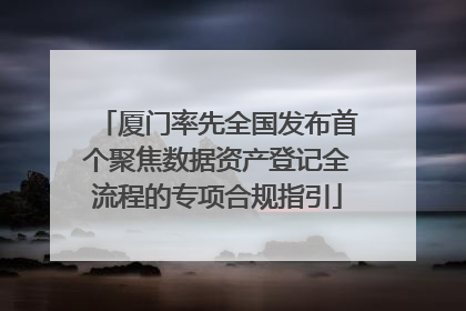 厦门率先全国发布首个聚焦数据资产登记全流程的专项合规指引