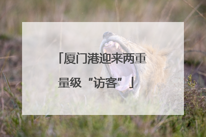 厦门港迎来两重量级“访客”