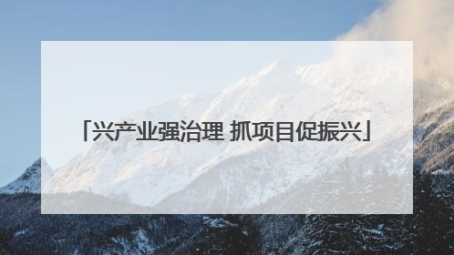 兴产业强治理 抓项目促振兴