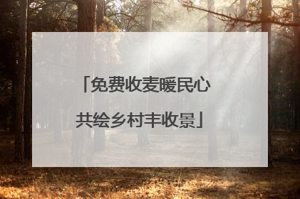 免费收麦暖民心 共绘乡村丰收景