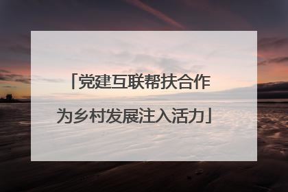 党建互联帮扶合作 为乡村发展注入活力
