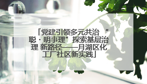 党建引领多元共治 “聪・明事理”探索基层治理 新路径——月湖区化工厂社区新实践