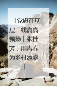 党旗在基层一线高高飘扬丨张桂芳：用青春为乡村添彩
