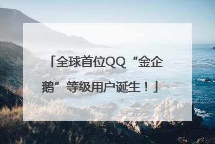 全球首位QQ“金企鹅”等级用户诞生！