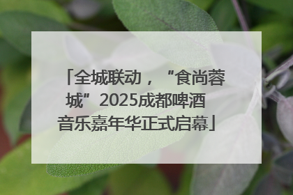 全城联动，“食尚蓉城”2025成都啤酒音乐嘉年华正式启幕