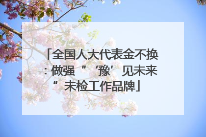 全国人大代表金不换：做强“‘豫’见未来”未检工作品牌